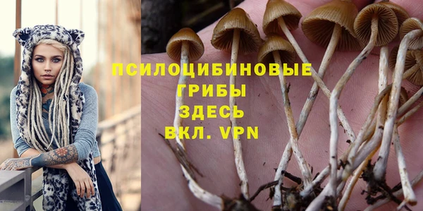 2c-b Вяземский