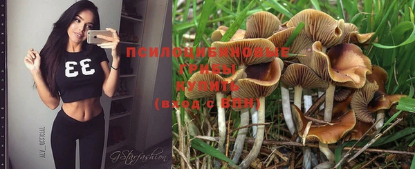 МДПВ Вязники