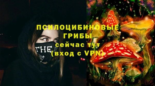 ешки Вязьма