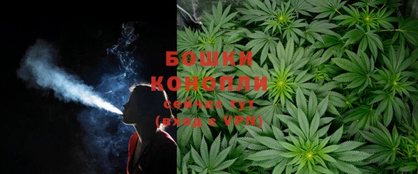 2c-b Вяземский