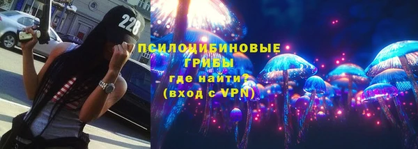 ешки Вязьма