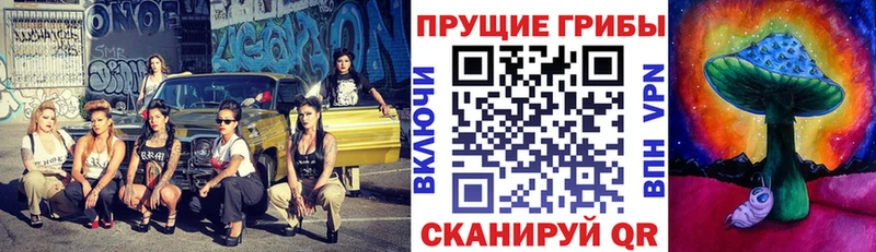 Купить  Светлый  Псилоцибиновые грибы Magic Shrooms 