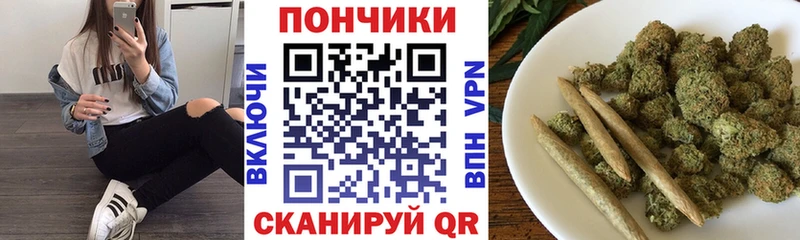Канабис планчик  Купить где  Светлый 